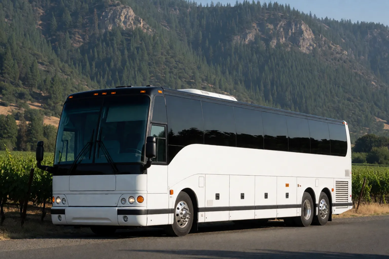 Charter coach near Calistoga